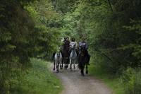 Кадр Мерлин