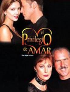 Привилегия любить