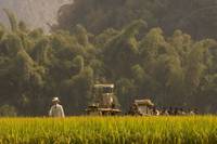 Кадр Разрисованная вуаль