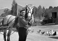 Кадр Убийства