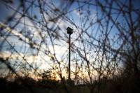 Кадр Украинские шерифы