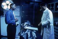 Кадр Дикость 2 (видео)