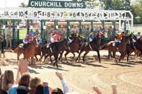 Кадр Чемпион