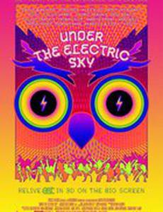 EDC 2013: Under the Electric Sky