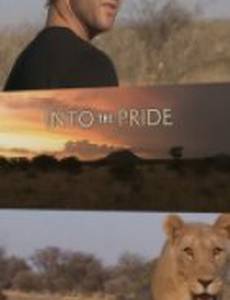 Жизнь в стае