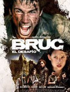 Брук. Вызов