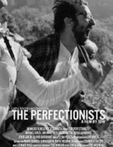 The Perfectionists