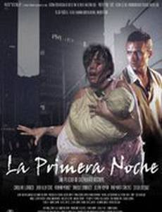 Первая ночь