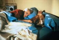 Кадр Одинокий парень