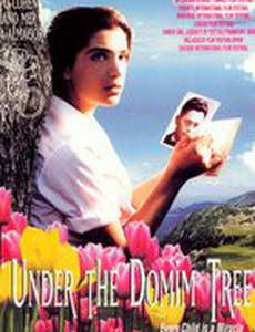 Под тутовым деревом