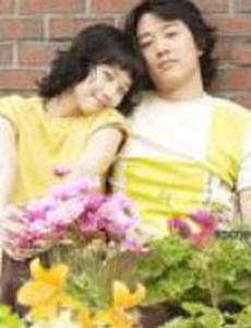 Кот на крыше