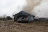 Кадр Белый тигр