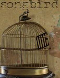 Songbird