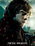 Постер из фильма "Гарри Поттер и Дары смерти: Часть 2" - 1