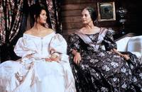 Кадр Широкое Саргассово море