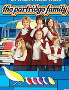 Семья Партридж