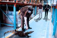 Кадр Новичок