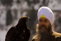 Кадр Кокаин в перьях