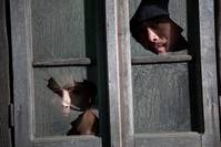 Кадр Открытая могила