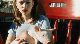 Кадр из фильма "Мой братец Бейб" - 1