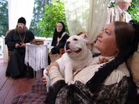 Кадр Пелагия и белый бульдог