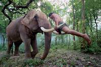 Кадр Честь  дракона