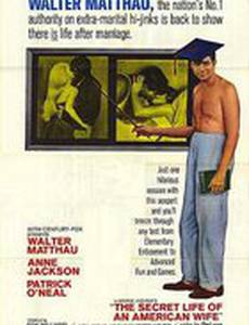 Тайная жизнь американской жены