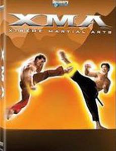 Экстремальные боевые искусства