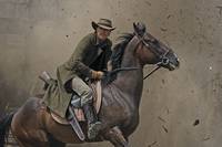 Кадр Хороший, плохой, долбанутый