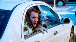 Кадр из фильма "Летающий класс" - 2