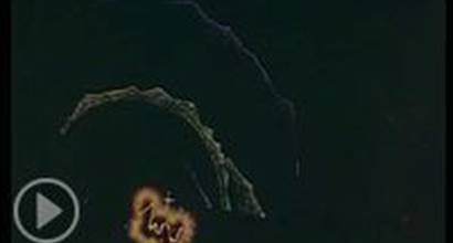 Мультфильм