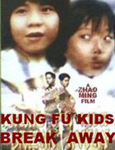 Мальчишки-кунгфуисты