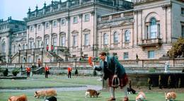 Кадр из фильма "Король Ральф" - 2