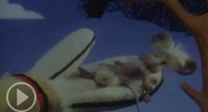 Мультфильм