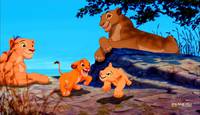 Кадр Король Лев