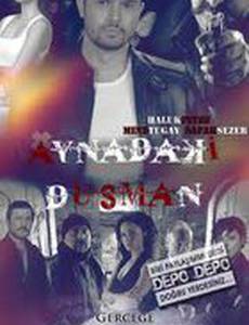 Враг в зеркале