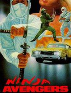 Ninja Avengers