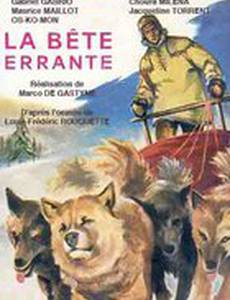 La bête errante