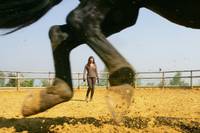 Кадр Танцуй с ним