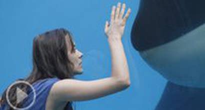 Трейлер (русские субтитры) 