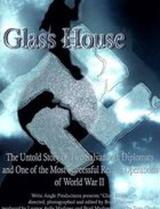 Стеклянный дом