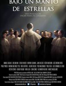 Bajo un manto de estrellas