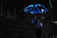 Кадр Правило №1