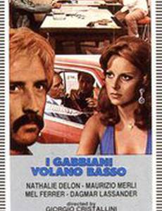 Чайки летают низко