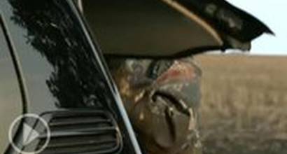 Телевизионный ролик