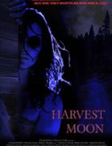 Harvest Moon