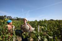 Кадр Она – моя жена