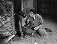 Кадр Dr. Renault's Secret