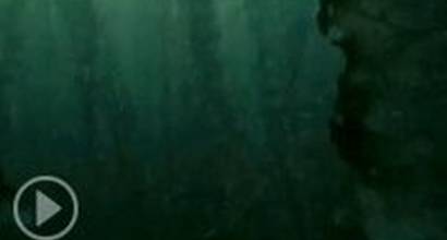 Фрагмент №1