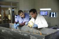 Кадр Вечность